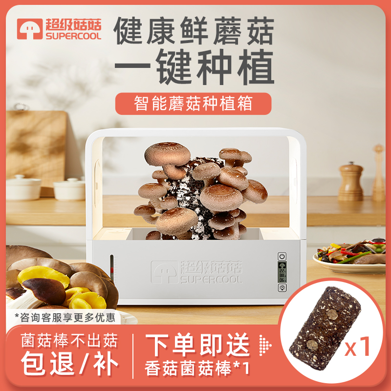 桌面蘑菇箱